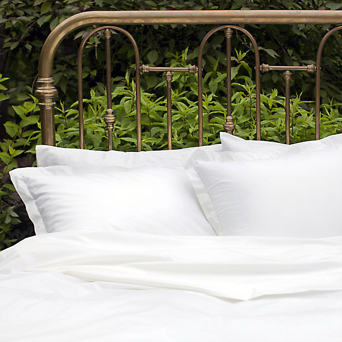 Nico Organic Cotton Bed Sheet Sets