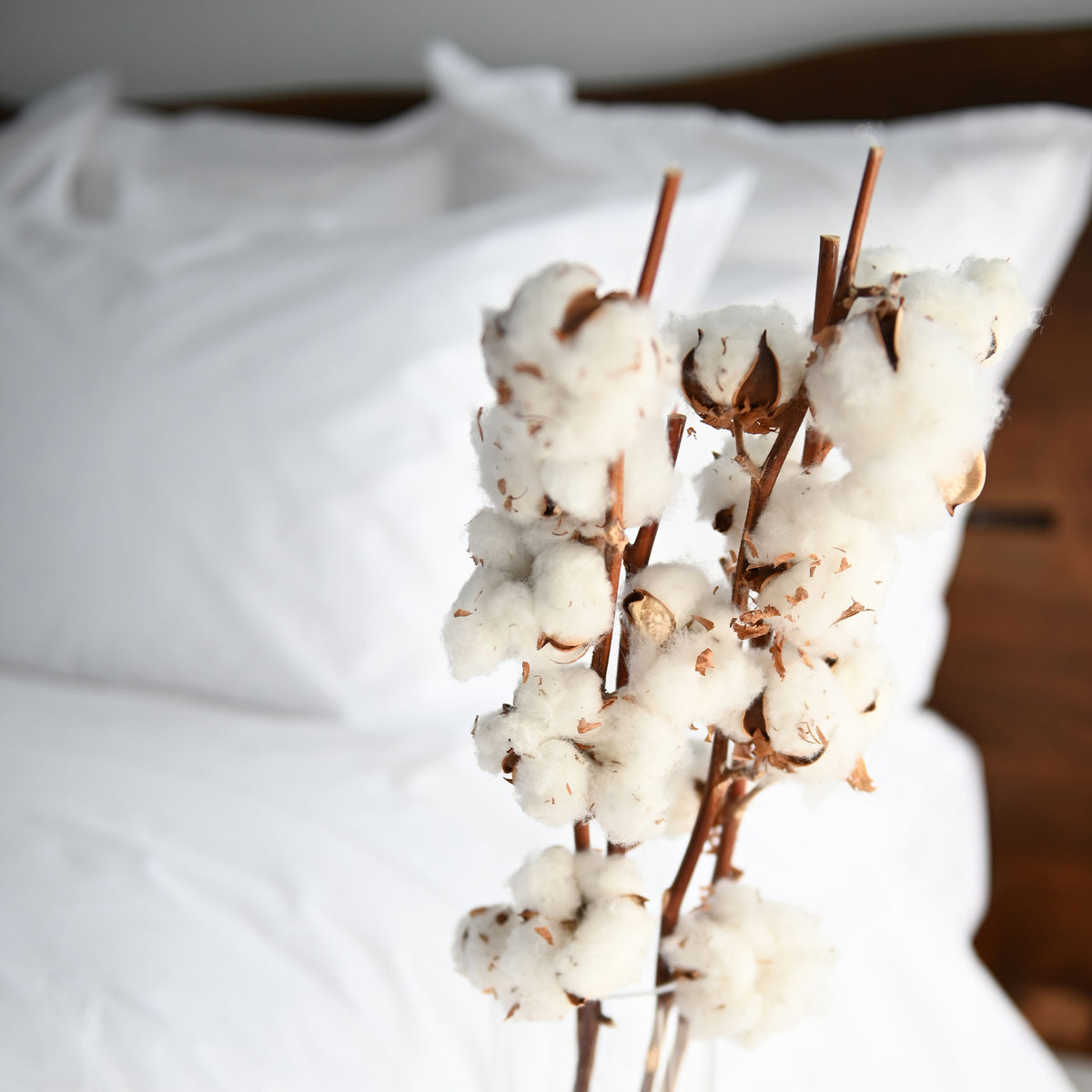 Nico Organic Cotton Bed Sheet Sets